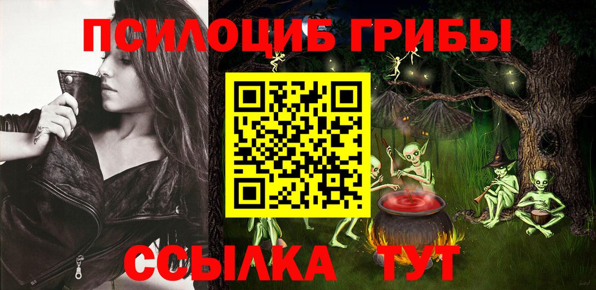 Черкесск  Псилоцибиновые грибы мицелий  Вход с VPN  Псилоцибиновые грибы MAGIC MUSHROOMS 