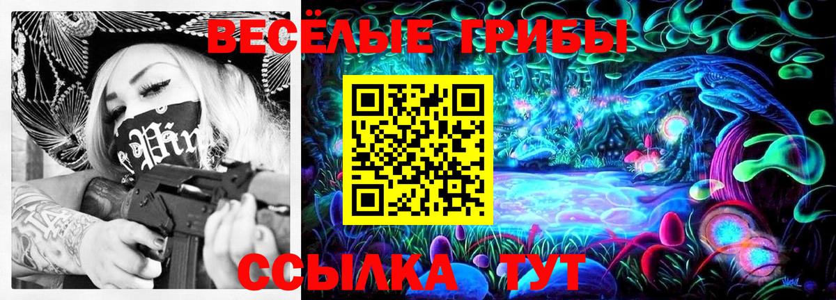 Псилоцибиновые грибы Cubensis Черкесск